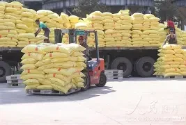 脚沾泥土 心向丰收——记2026年度富肽生物科技农技服务标兵